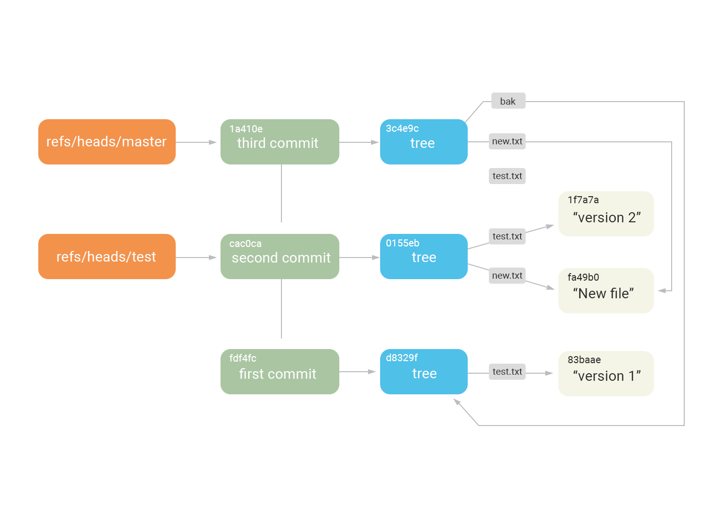 Branching Illustration